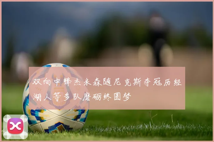 双向中锋杰米森随尼克斯夺冠历经湖人等多队磨砺终圆梦