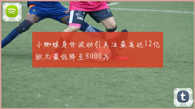 小蜘蛛身价波动引关注最高达12亿欧元最低降至8000万